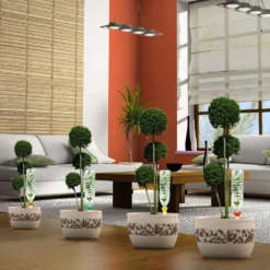 Cône D'Arrosage D'absence : 45 à 60 Cm 30 Cl : L, Jaune - Pack 3+1 -Promos Jardelis Boutique 177135 007