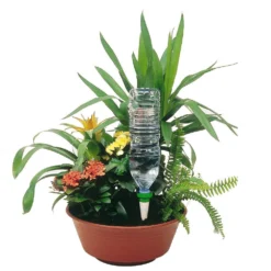 Cône D'Arrosage D'absence : Jardinière Violet - Pack 3+1 (gratuit) -Promos Jardelis Boutique 366821 004