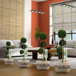 Cône D'Arrosage D'absence : Jardinière Violet - Pack 3+1 (gratuit) -Promos Jardelis Boutique 366821 006