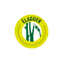 Batterie 20v - Pour Tronçonneuse électrique 2en1 -Promos Jardelis Boutique 628d72ece0d381.04844299