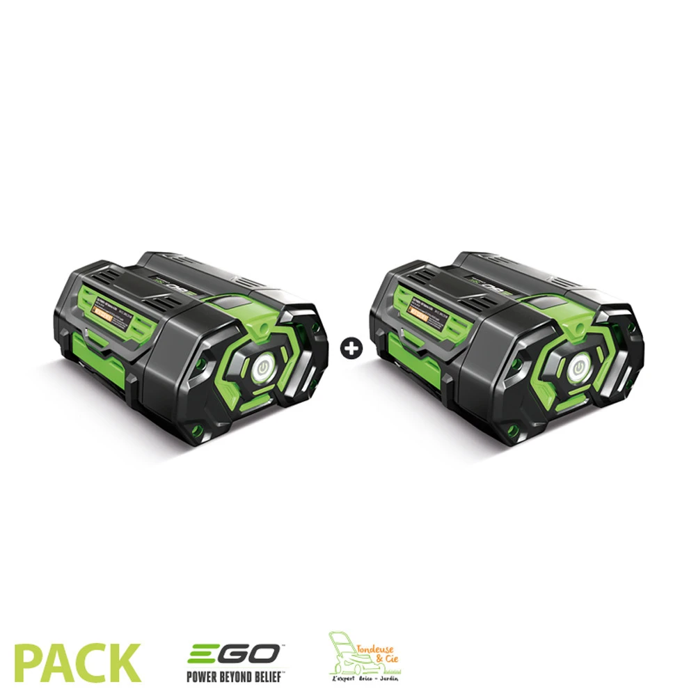 Lot De 2 Batteries 4ah Pour Outil De Jardin Sans Fil Egopower 1 Lot De 2 Batteries 4ah Pour Outil De Jardin Sans Fil Egopower