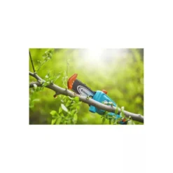 Gardena Elagueuse Sur Perche Tcs 20/18v P4a Sans Batterie -Promos Jardelis Boutique 641da6726f15b1.32290024