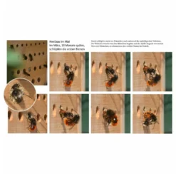 Luxus-insektenhotels Hôtel à Insectes Avec Toit En Hêtre Maja Naturel -Promos Jardelis Boutique 645b9442ecc599.55075722