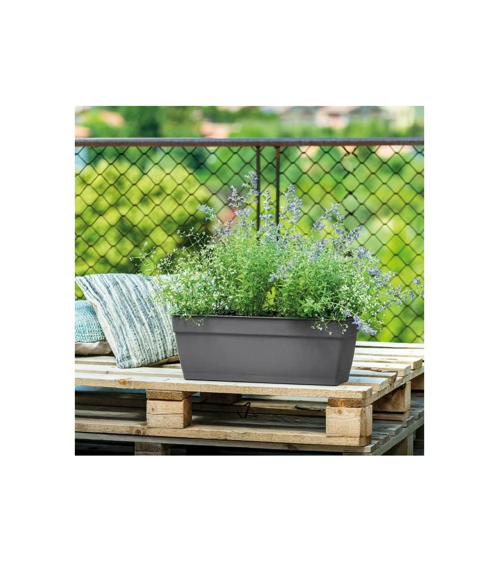 Jardiniere Ninfea R Anthracite A Réserve D'eau - Coloris Gris Anthracite - 60cm 1 Jardiniere Ninfea R Anthracite A Réserve D'eau - Coloris Gris Anthracite - 60cm