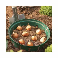 Panier Pour Bulbes Rond 30 Cm (lot De 2) -Promos Jardelis Boutique 646facd8d3bfa0.92263045
