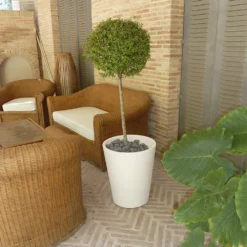 Pot De Fleurs Gerbera ø50x59,5cm - Blanc -Promos Jardelis Boutique 6478c7f57c7d87.86515445