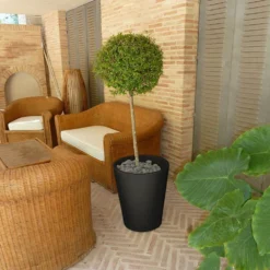 Pot De Fleurs Gerbera ø50x59,5cm - Noir 5 Pot De Fleurs Gerbera ø50x59,5cm - Noir -Promos Jardelis Boutique 6478c7f7010f00.57812264