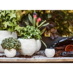 Ensemble De Pot De Fleurs Boule Nature Rib Ivoire -Promos Jardelis Boutique 64798958102562.13059952