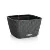 LECHUZA Jardinière Bacino Cottage All-in-one 30x30 Cm Noir Graphite