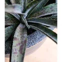 Pot à Fleurs Waste Smooth 43x41 Cm Gris -Promos Jardelis Boutique 6479896195b644.79787079