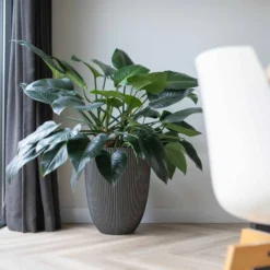 Vase élégant Groove 46x58 Cm Anthracite -Promos Jardelis Boutique 6482c45ae14806.82498096