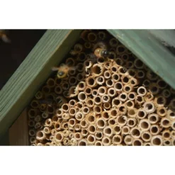 Hôtel à Insectes Naturel, Rouge Et Vert -Promos Jardelis Boutique 6483189eee8da2.11376769