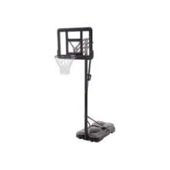 Panier De Basket 2.30 M à 3.05 M Professional Dunk