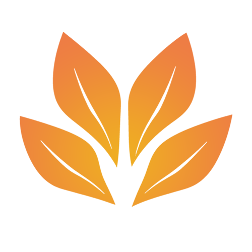 Promos Jardelis Boutique